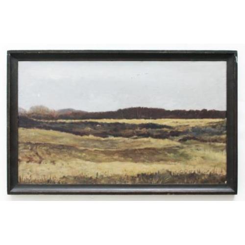 olieverf schilderij - Duinlandschap - onduidelijk gesigneerd