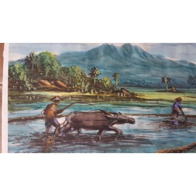 aquarel Indonesie boer ploegt met karbouw en os gesign