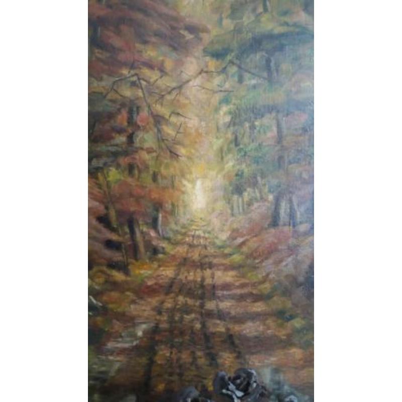 Groot Schilderij Bospad. 148 x105 cm.