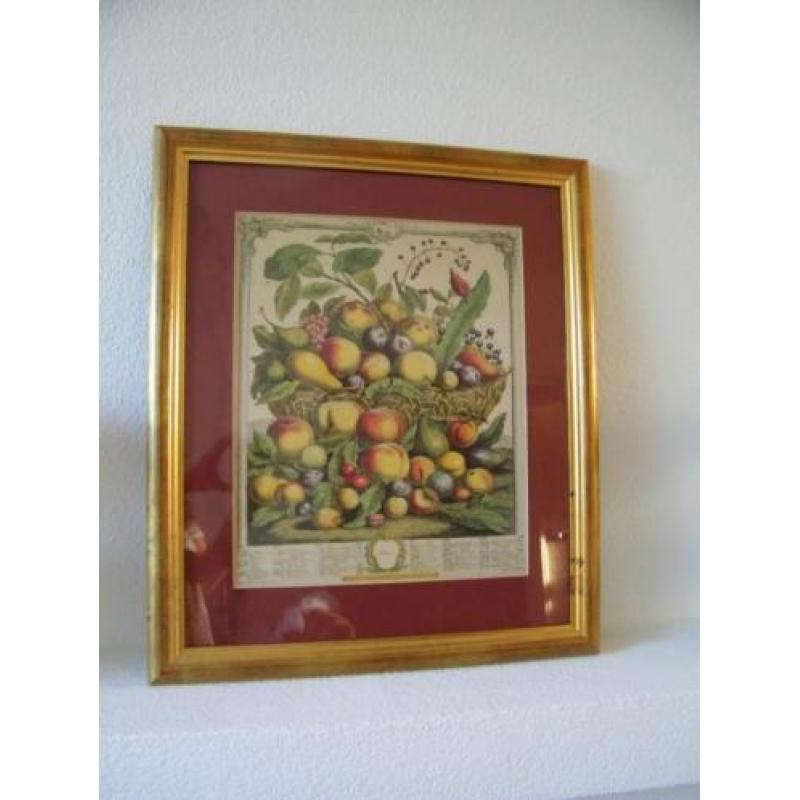 Sping Fruit Schilderij