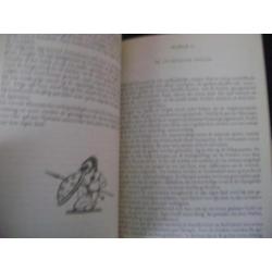 de geschiedenis van griekenland