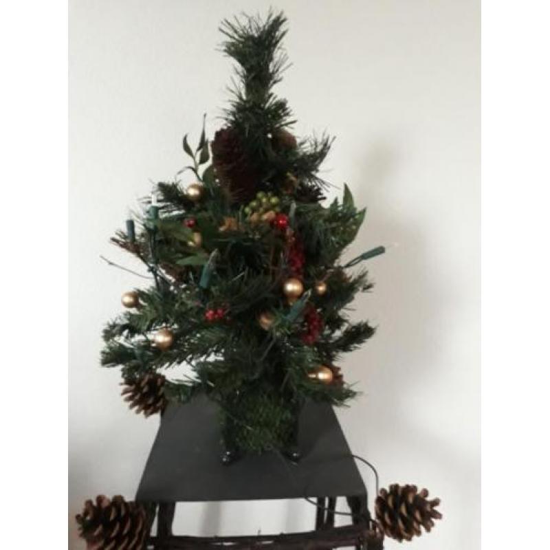 Kerstboom