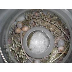 KERST - 8x SCHAAL / PLANTENBAK voor KERSTSTUKJES