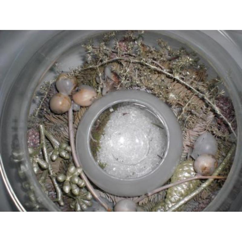 KERST - 8x SCHAAL / PLANTENBAK voor KERSTSTUKJES