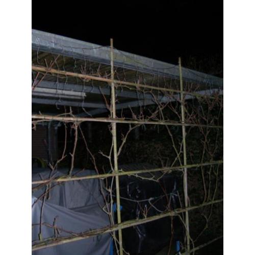 kerstverlichting voor buiten gekleurde lampjes