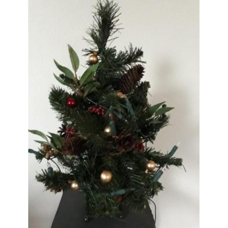 Kerstboom