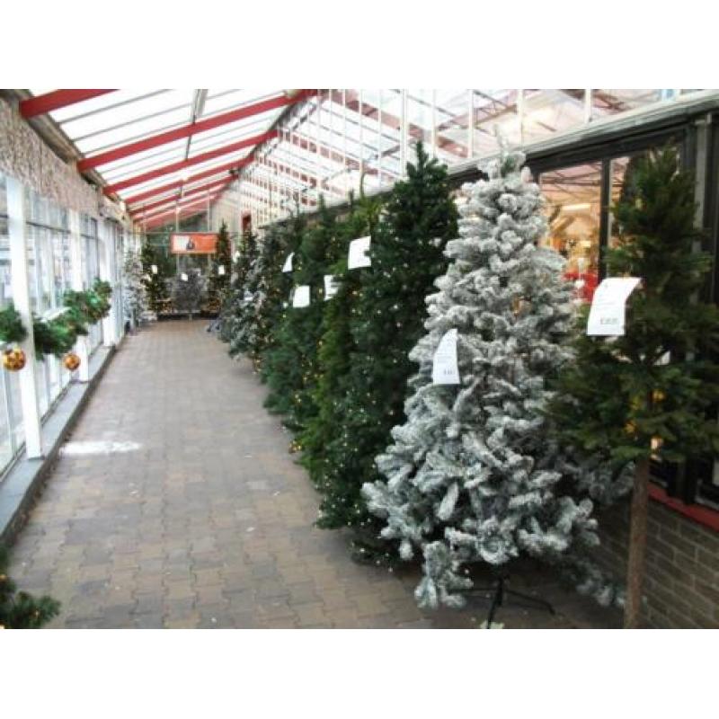 Kerstboom Groen 215 cm (showmodel) kerst 1