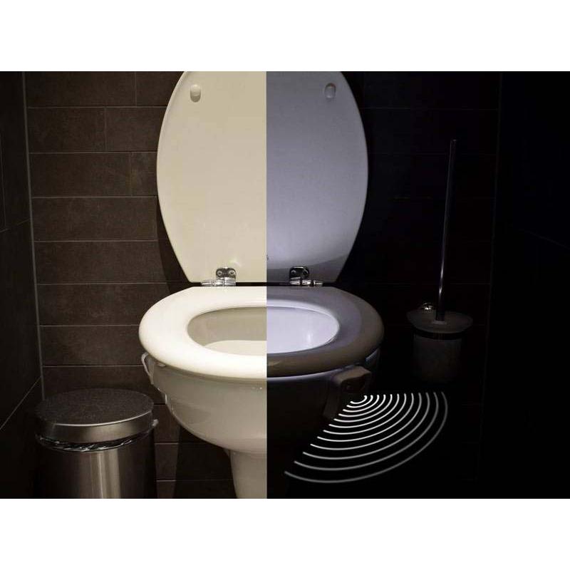 Led Toilet Light