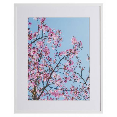Roze Natuur by Uriel Soberanes te koop