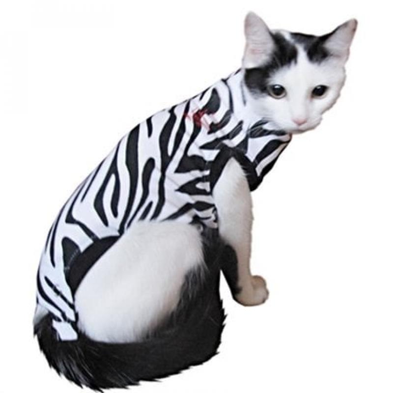 Medical Pet Shirt Medical Pet Shirt Kat S zebraprint