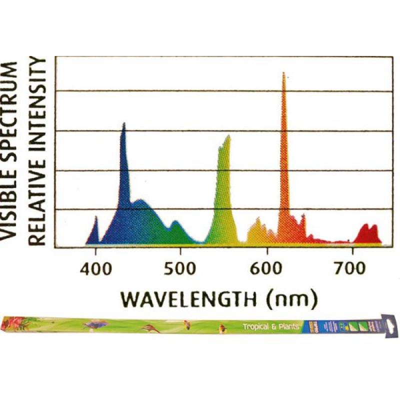 Tropical daylight 36 watt 120 cm Merkloos