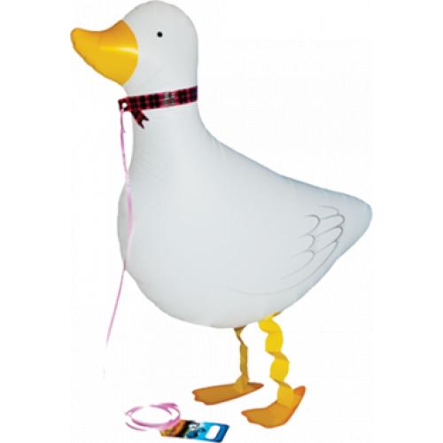Dm logo Duck Airwalker 22in 55cm