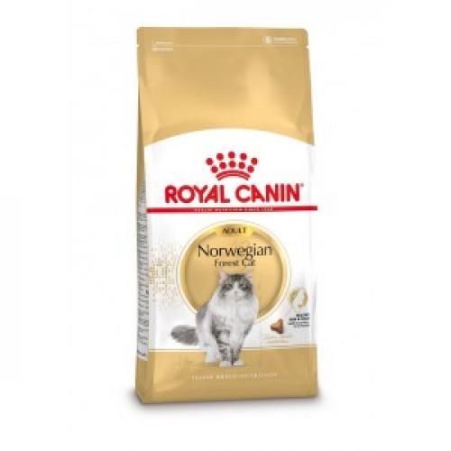 Kattenvoer Royal Canin Royal Canin Royal Canin Adult Norwegian Forest Cat kattenvoer 10 kg