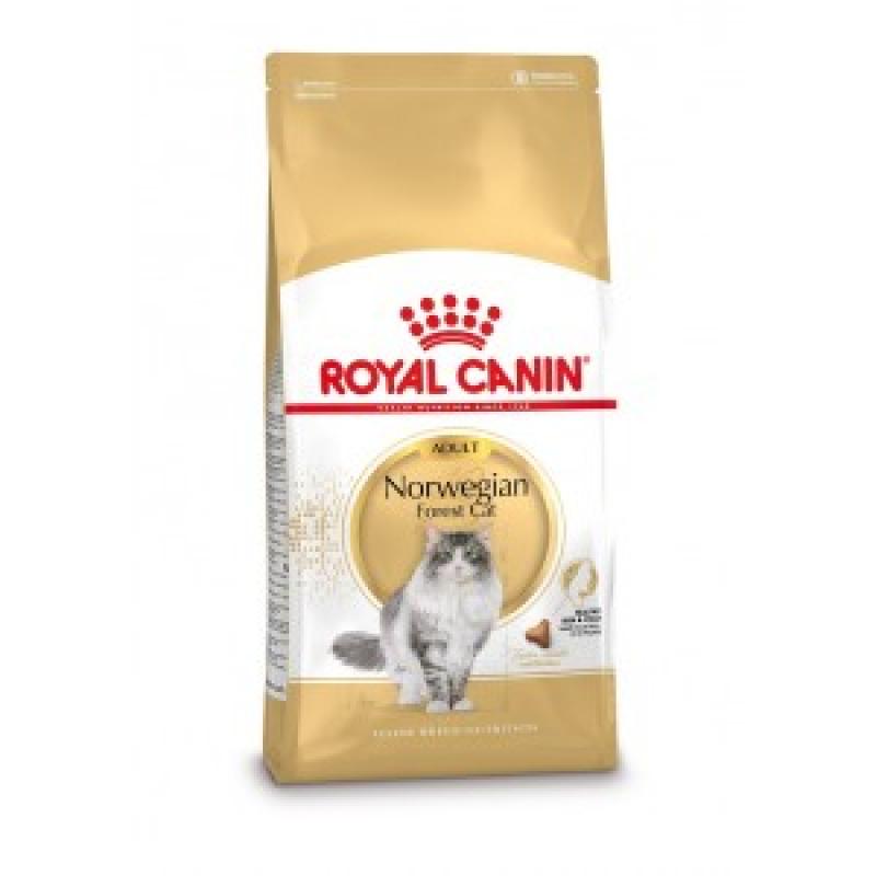 Kattenvoer Royal Canin Royal Canin Royal Canin Adult Norwegian Forest Cat kattenvoer 10 kg