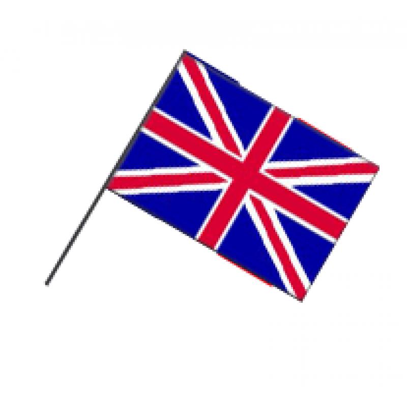 Landen versiering en vlaggen AlleKleurenShirts Engeland cocktailprikkers 10 cm