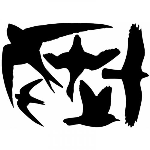 Zwarte raamsticker met vogels 33 x 23 cm AlleKleurenShirts beste prijs