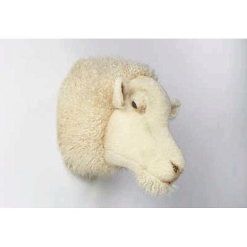 Dierenkoppen Bibib Jacht trofee wit schaap