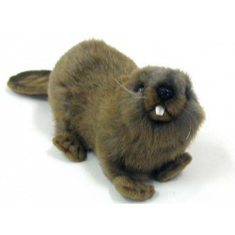 Levensechte pluche bever 20 cm Hansa beste prijs