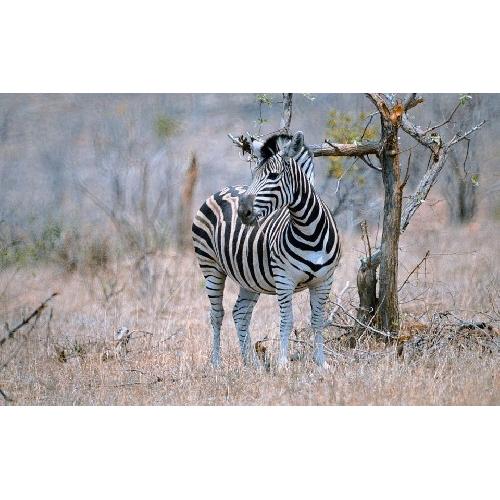 Pestana Kruger Lodge
